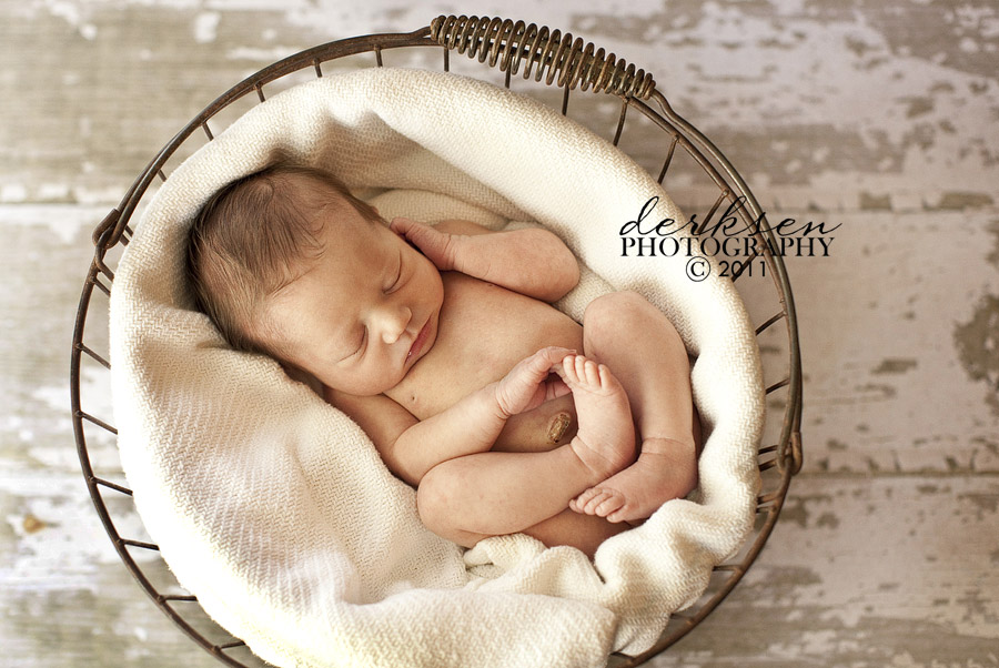 newborn photography props. 2011