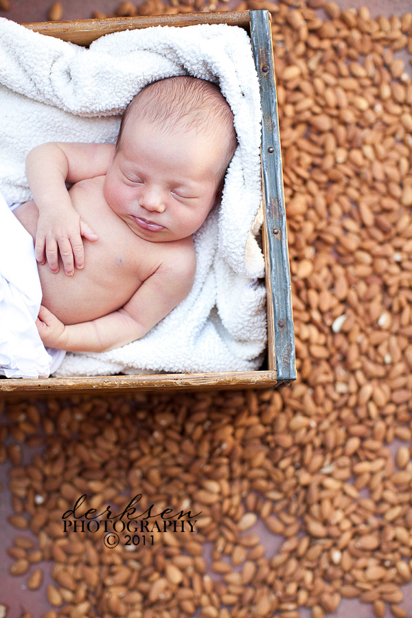 Newborn Bean Bag Poses Tips and Tricks For Your Studio Session - JustKidi  Sydney Newborn Photographer - JustKidi Photography Studio